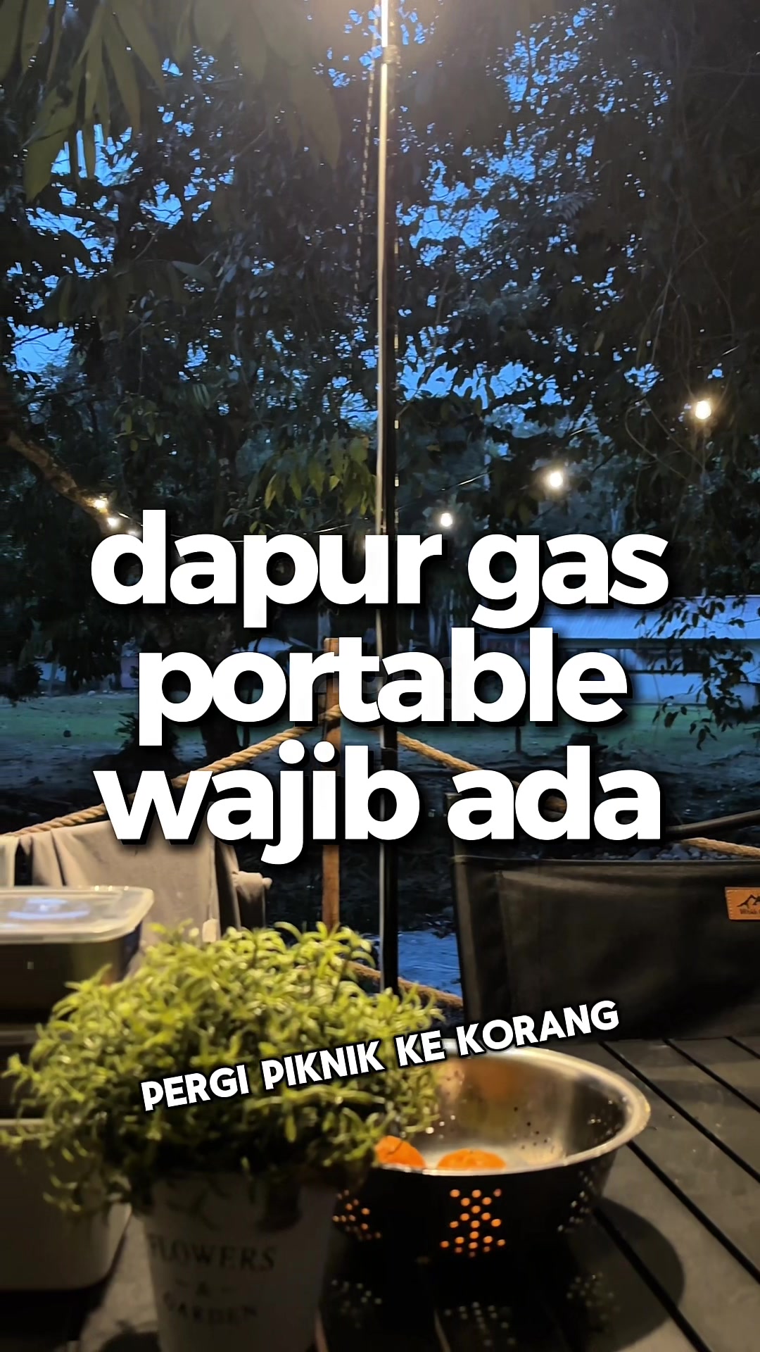 @Along | Gaia Aqua Gallery