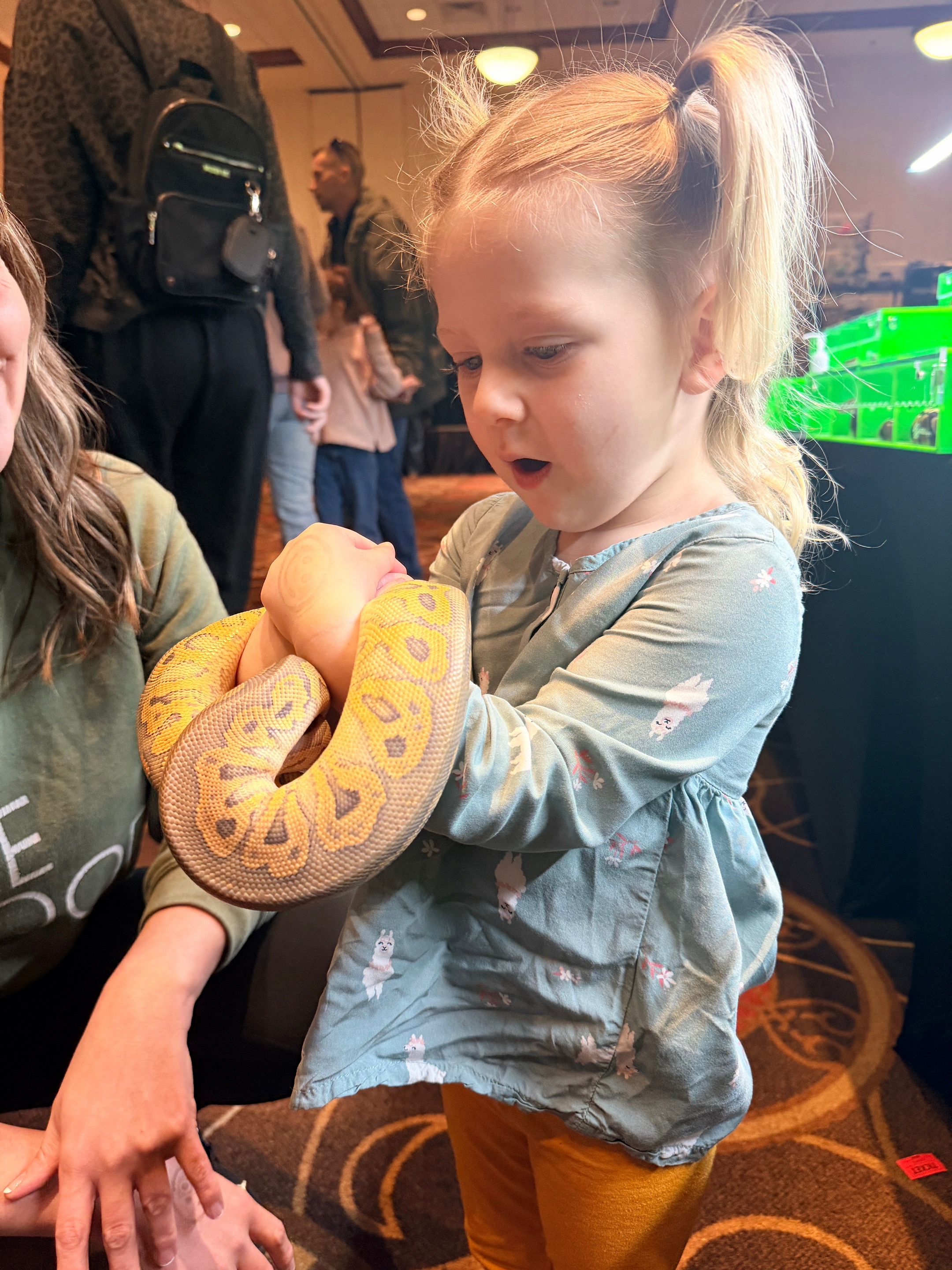 @SNS Reptiles
