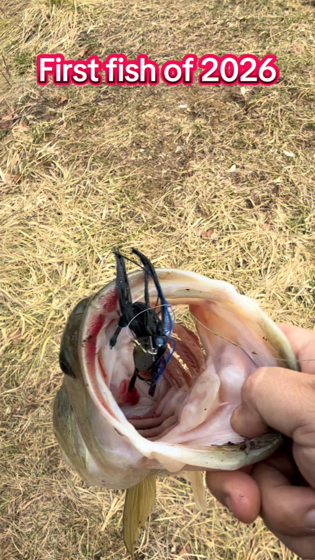 @shanwillisfishing