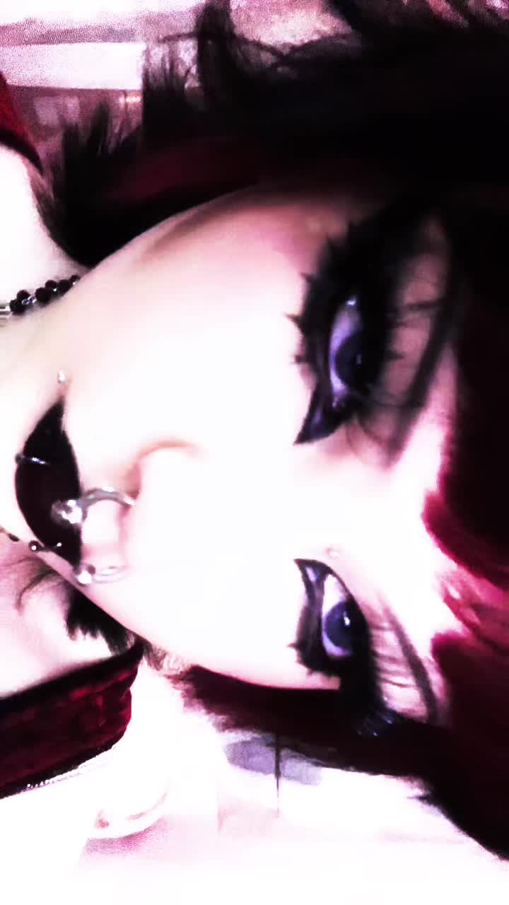 @❀𝒟𝒪ℒℒ ❀