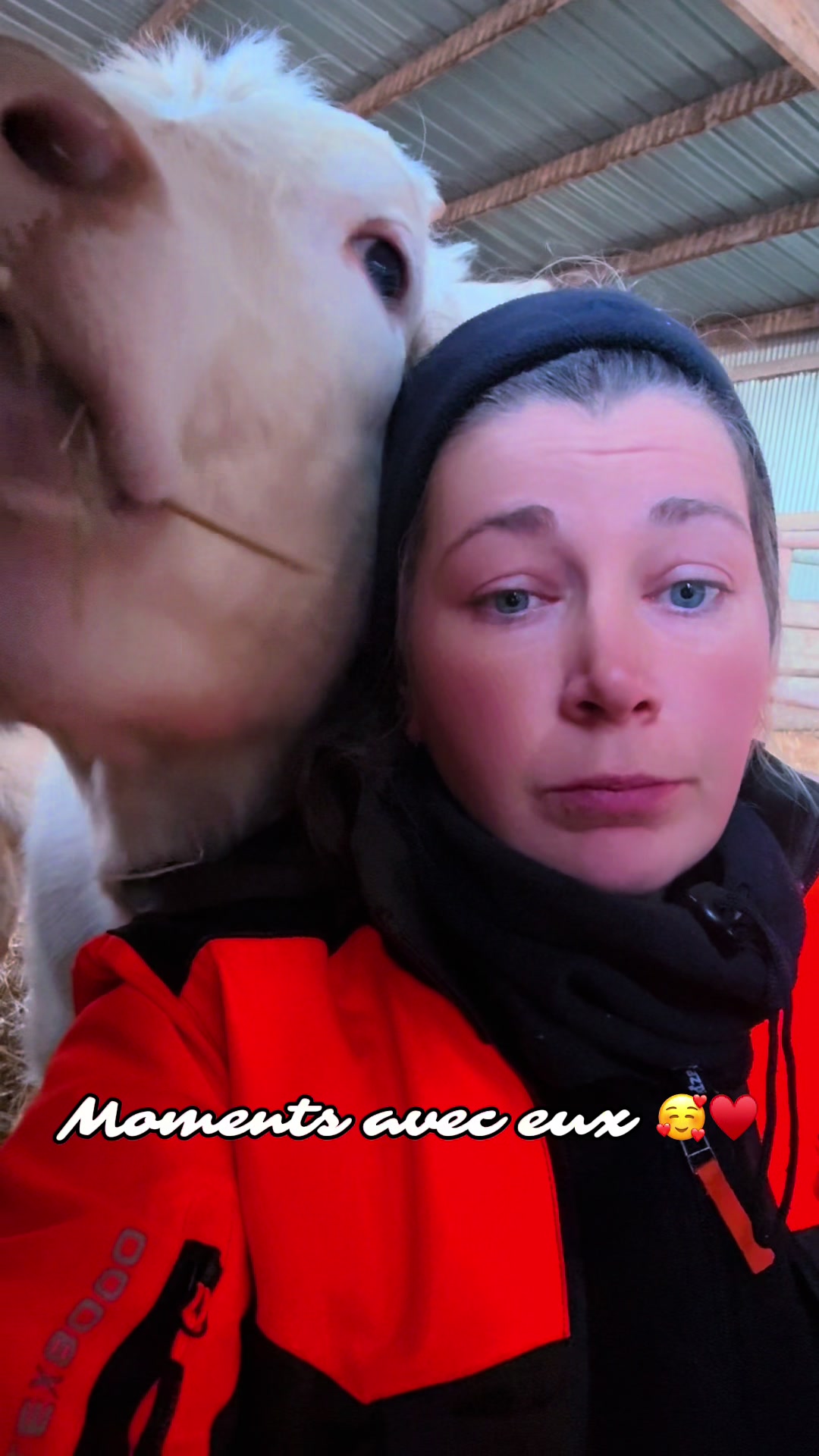 @ᏦᎥᎥᏦᏗᏗ 🌾🚜🐮