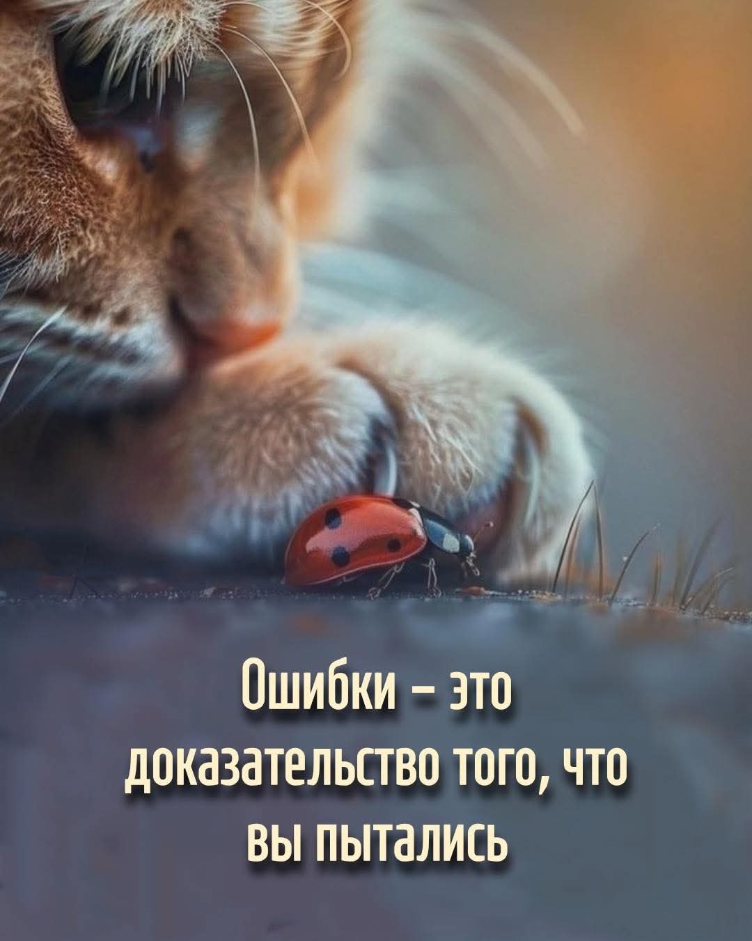 @Ника Малиновская