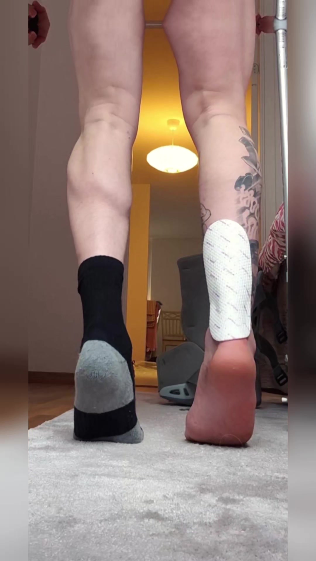 @FRANSTASTICHYBRID