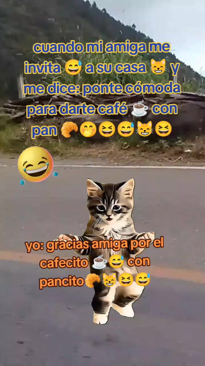 @Dafne