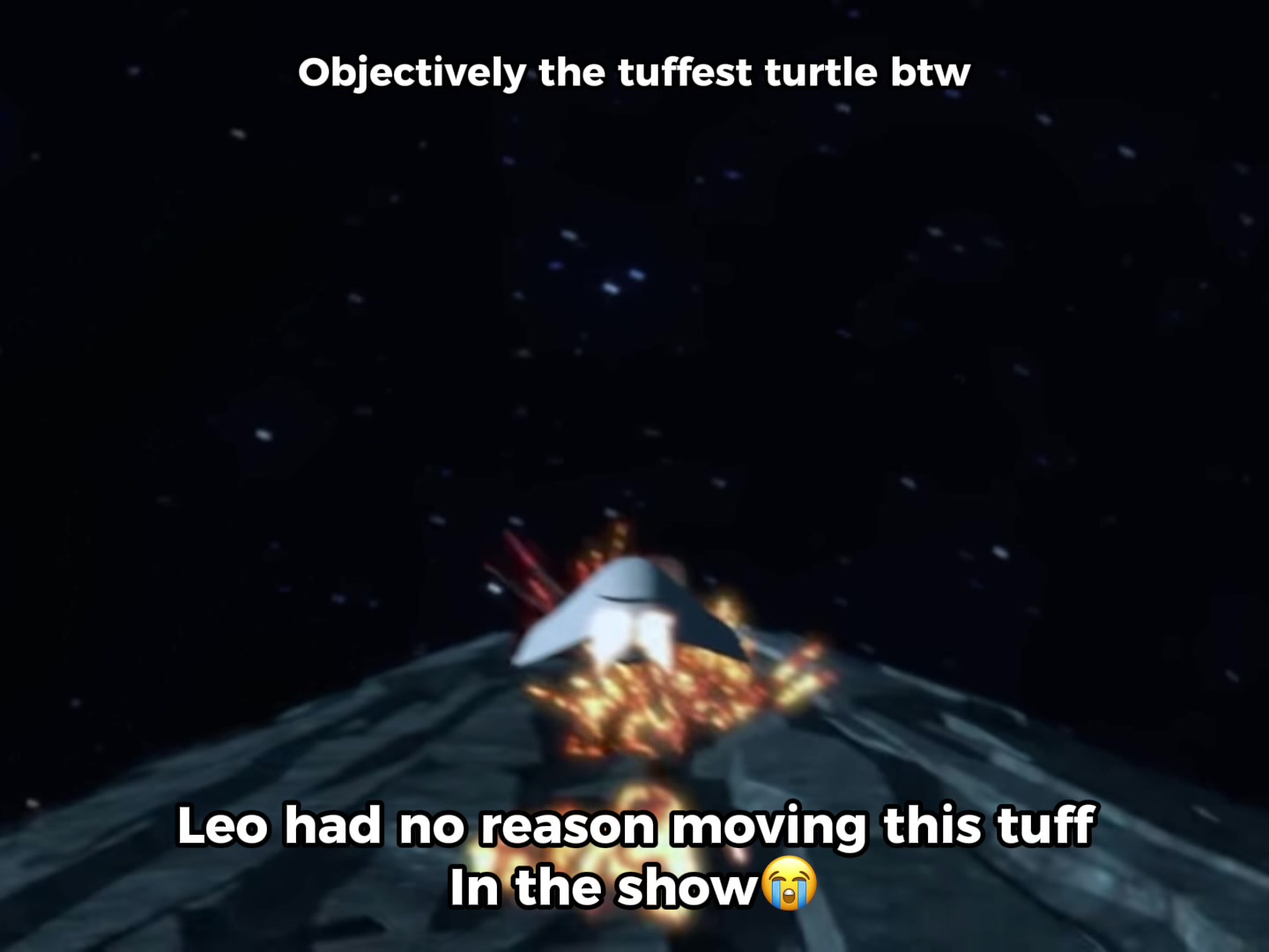 @yolo
