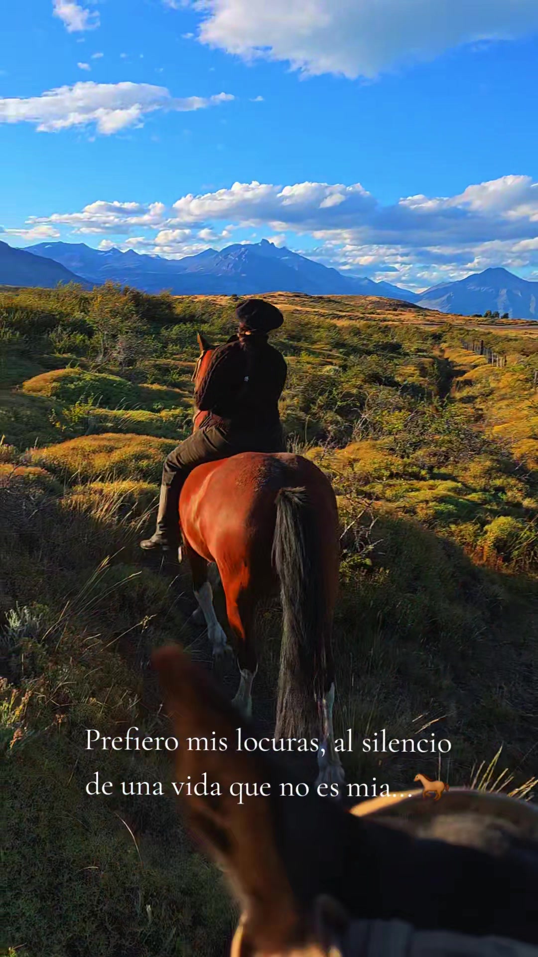 @Paisa 🐴