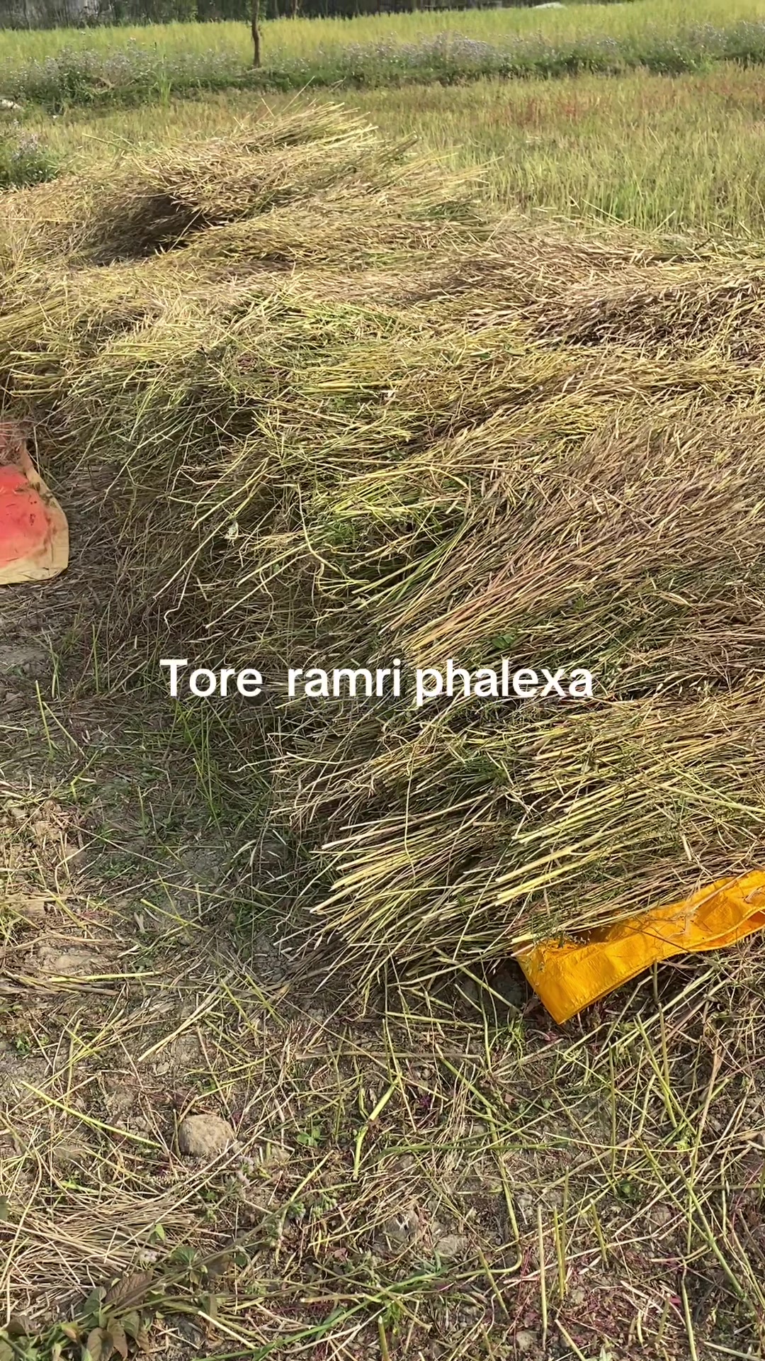 @Radha Khatiwada