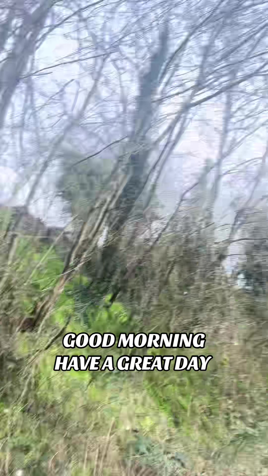 @irfanm1🍉