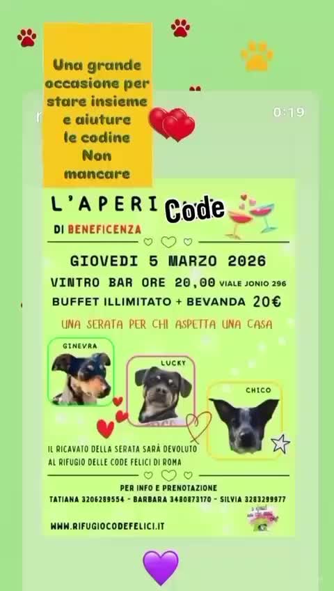 @code felici