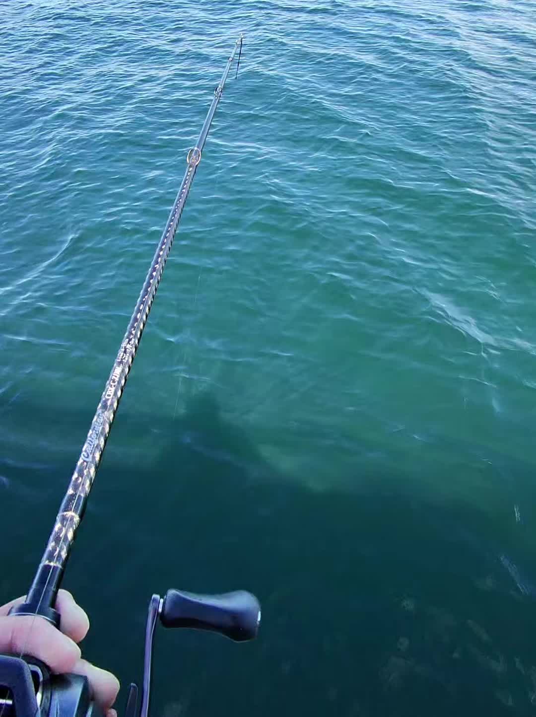 @matt.fishh