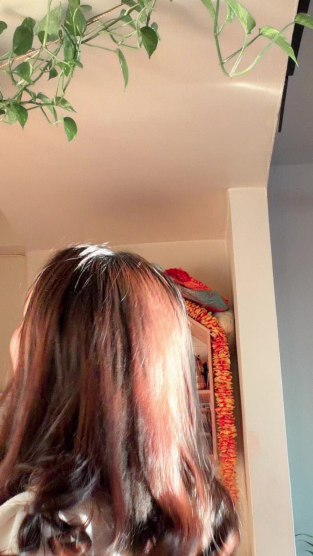 @pujapokhrel657