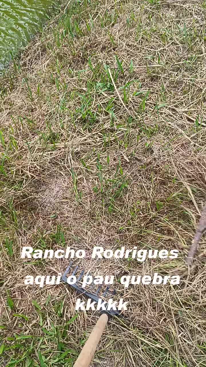 @FOGUINHO 🔥