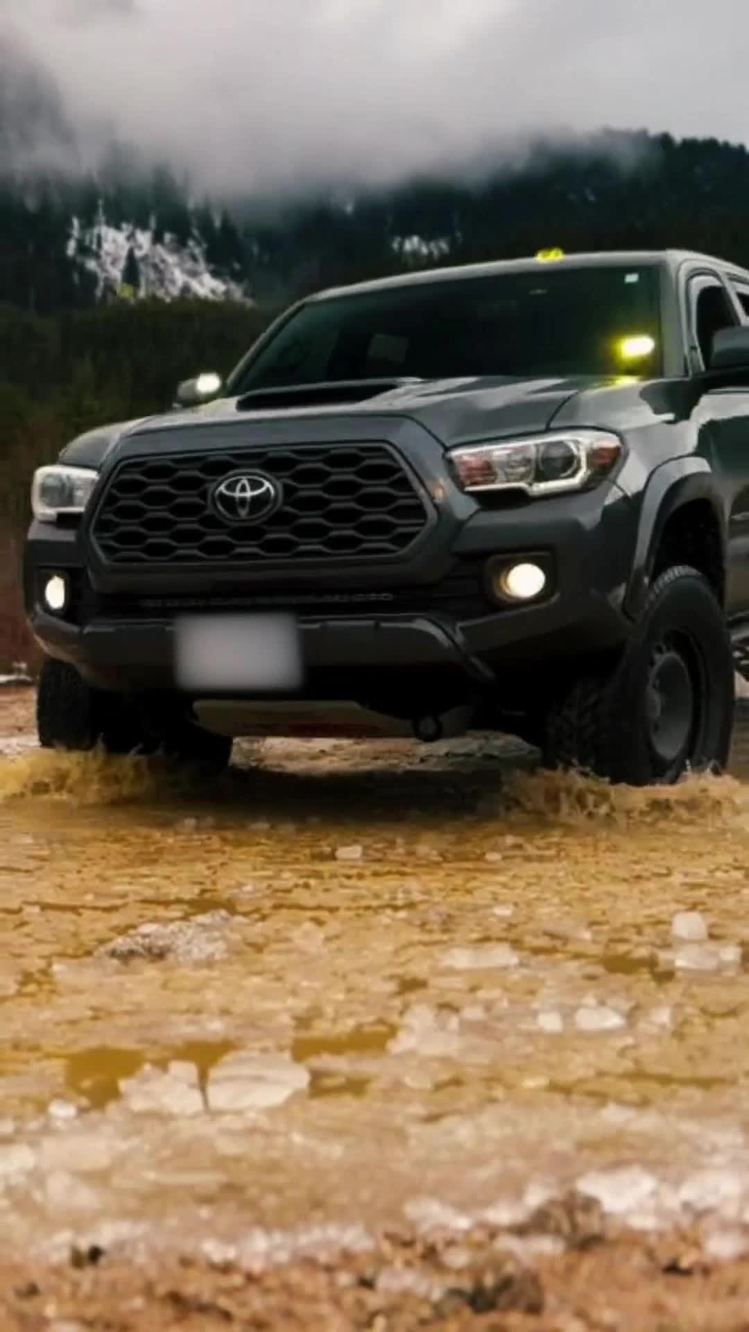 @Nilight Motors