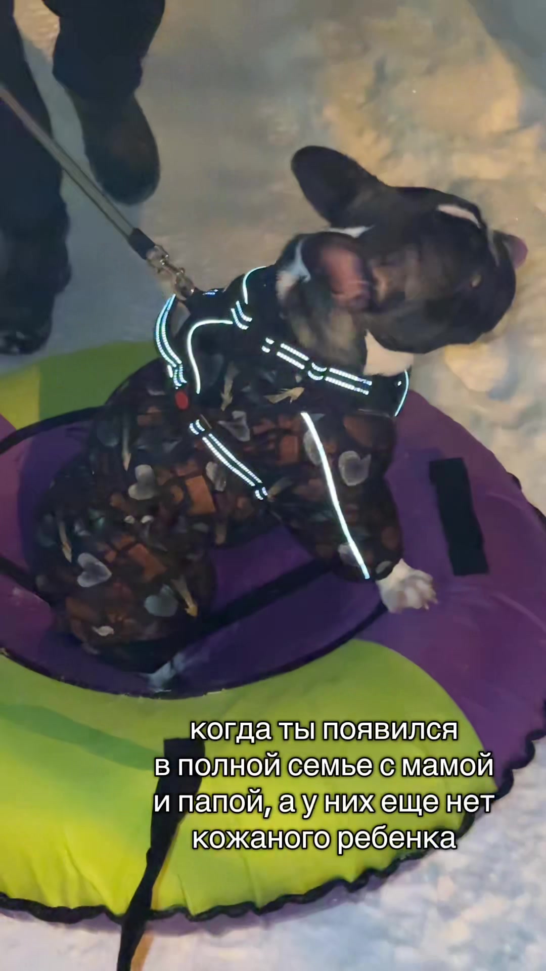 @кекс