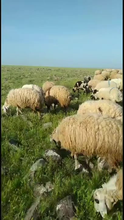 @Yusuf &Ccedil;etinkaya
