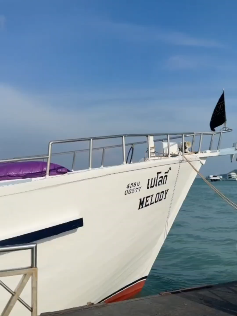 @Melody Sunset Cruises