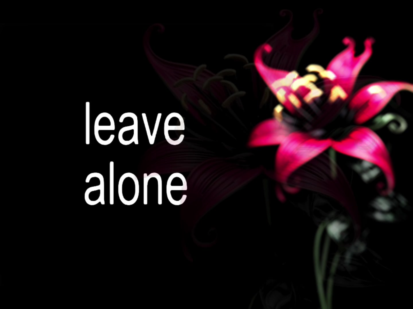 @speed songs | lyrics