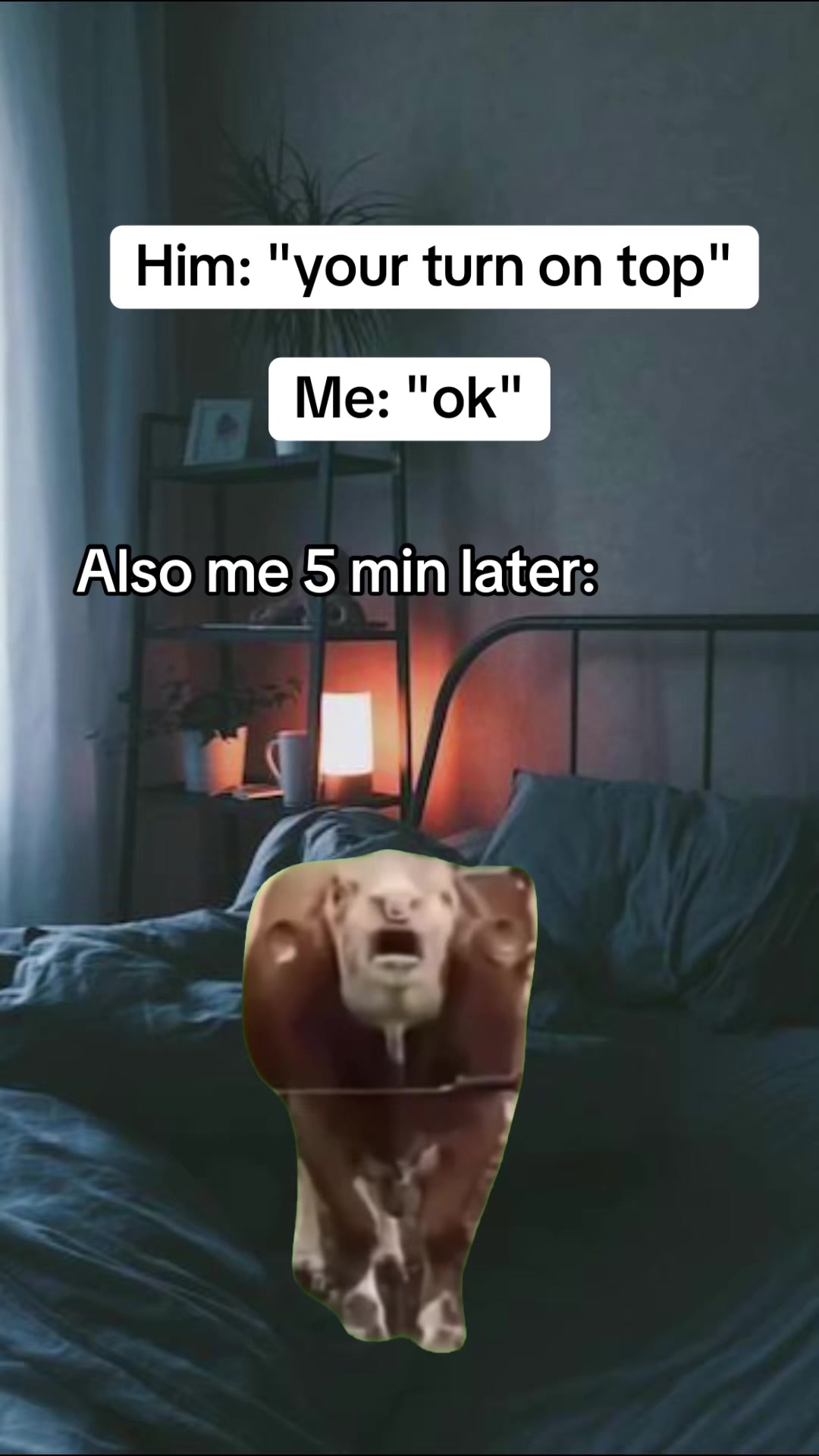 @kalico386