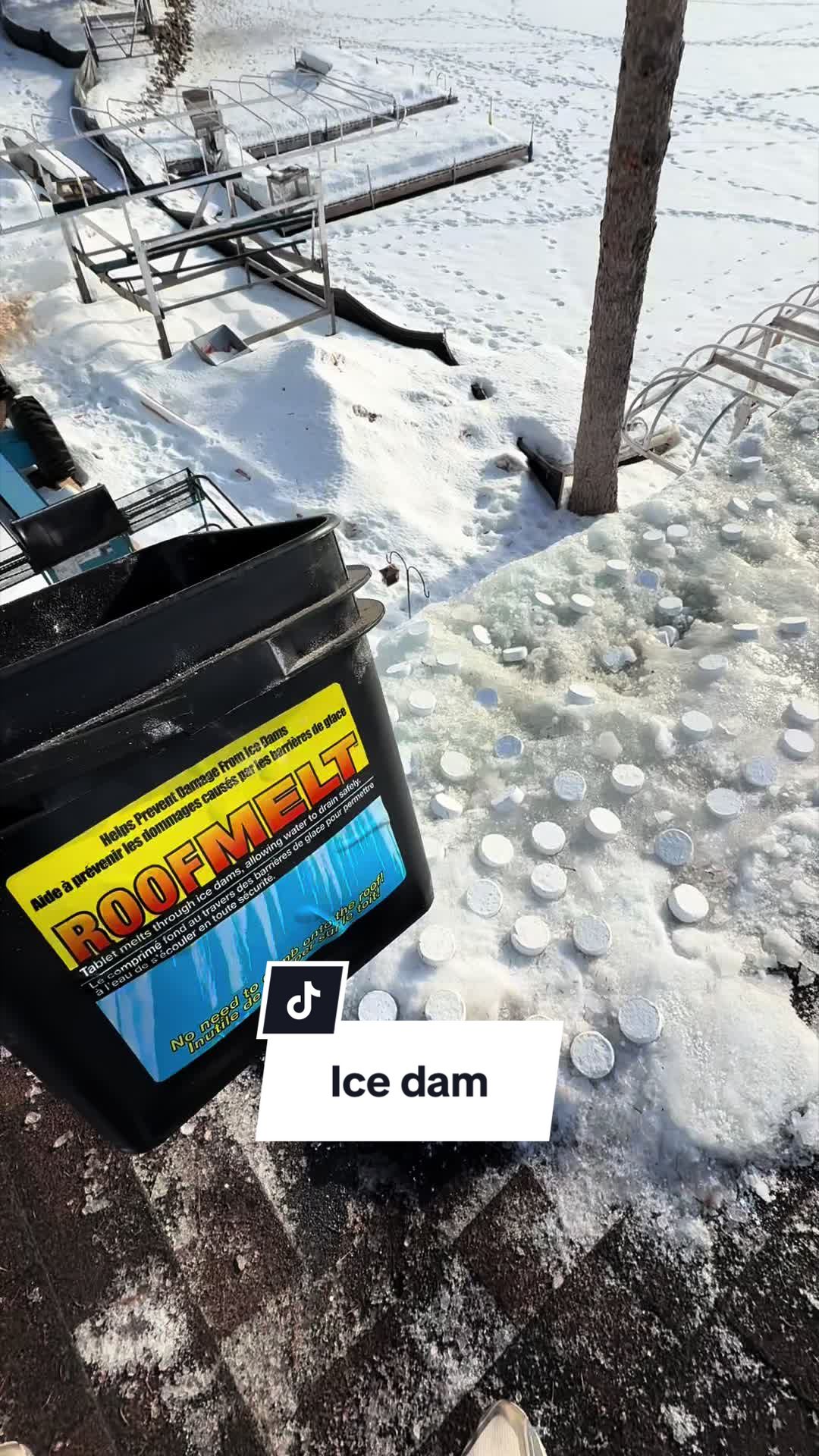 @Roofertiktok