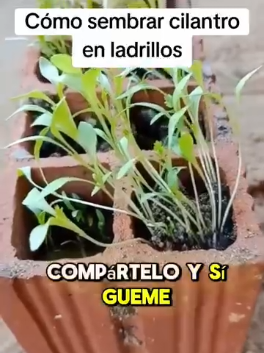 @Naturaleszademujer