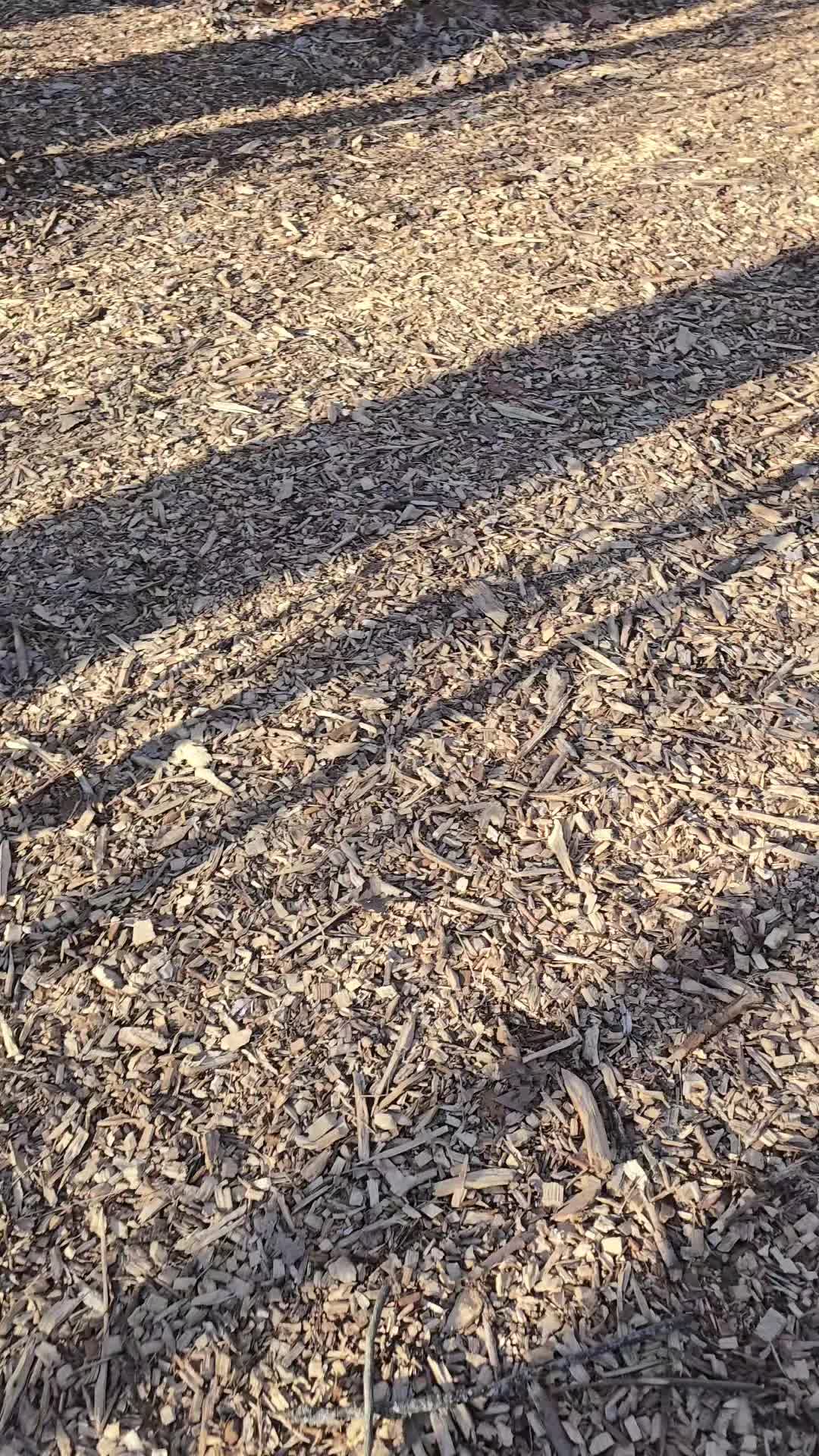 @CURDEATER