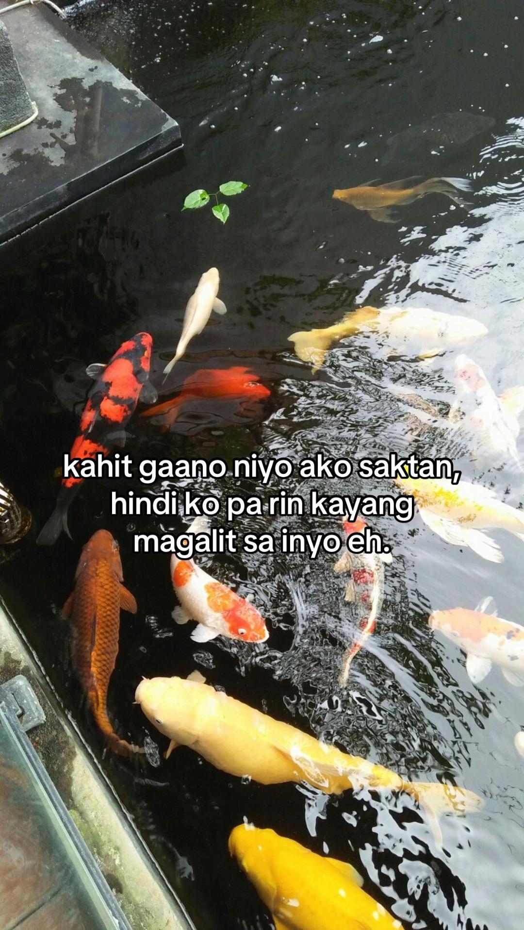 @hcir
