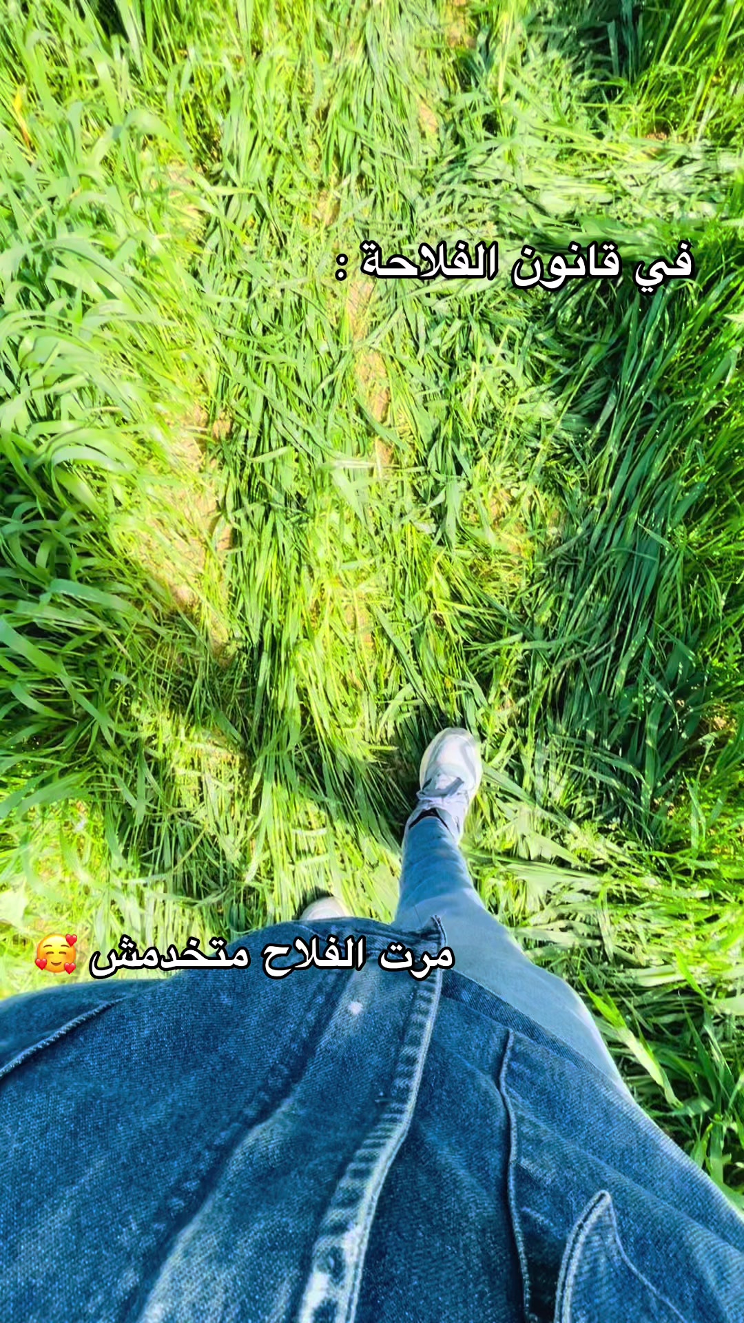 @Kh Alil