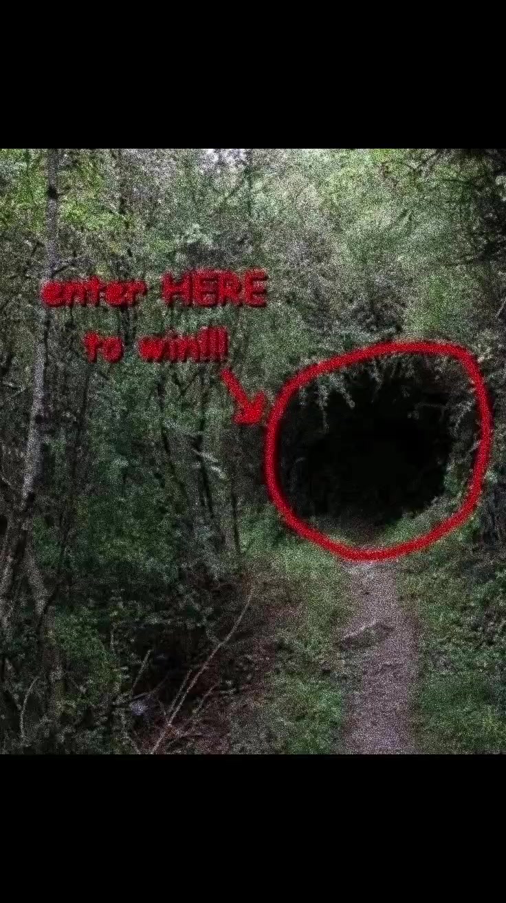 @👤