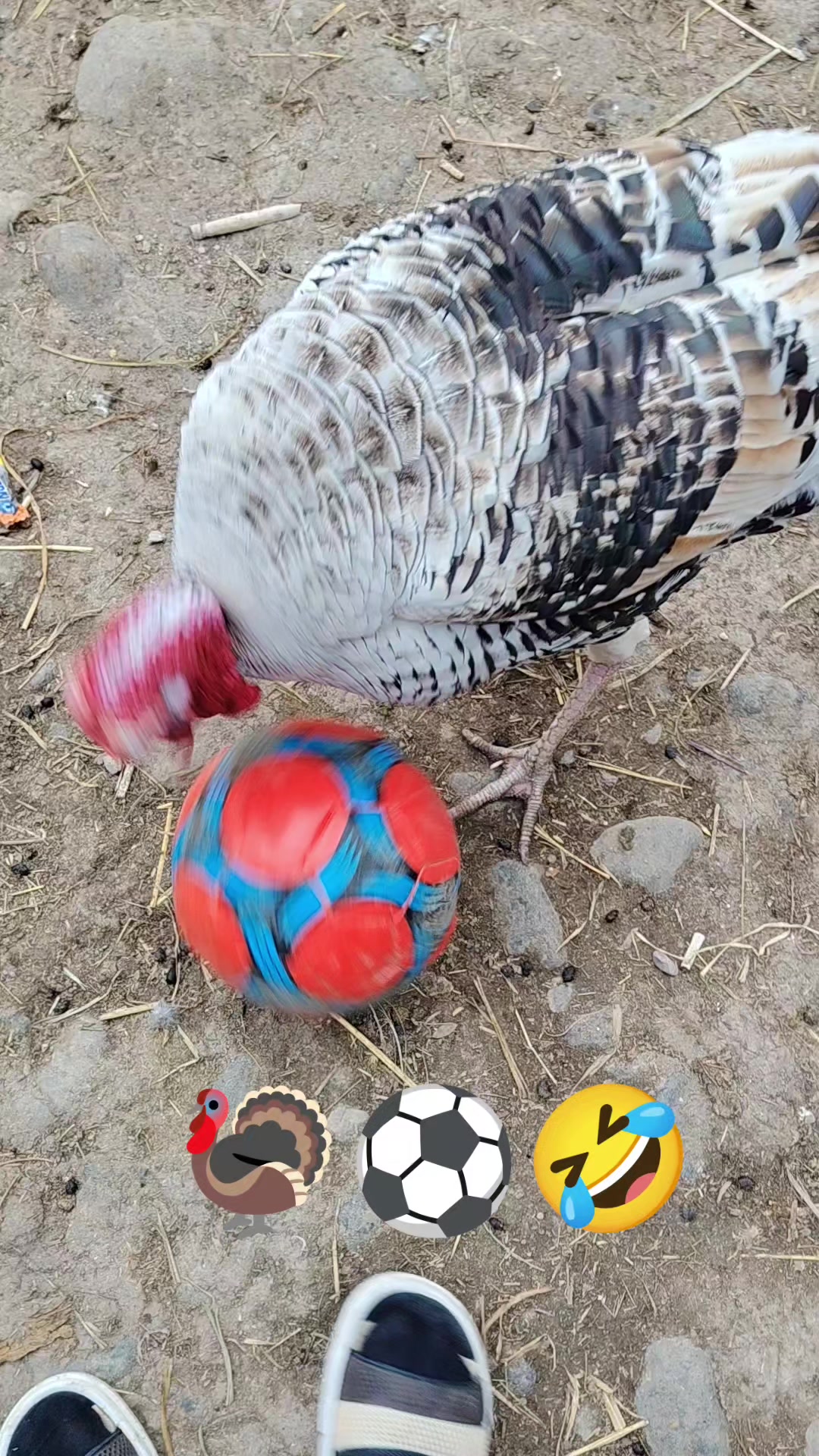 @G&ouml;yər&ccedil;in51