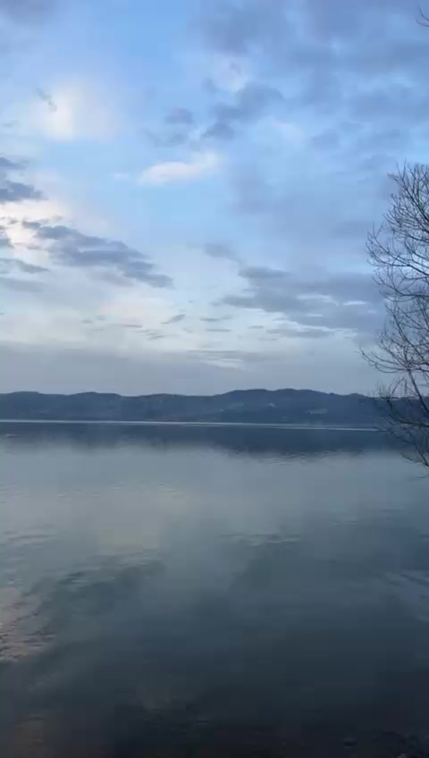 @bozasena54