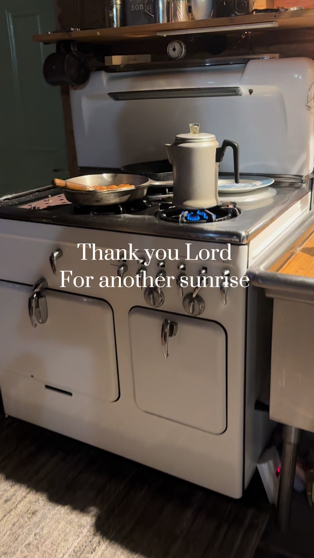 @Tina Cooks