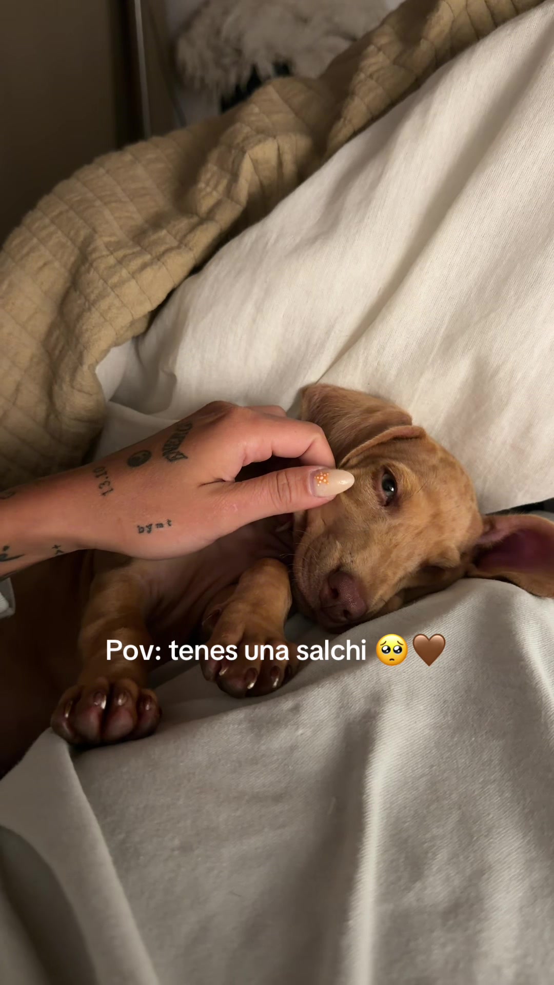 @Mai Trubiano