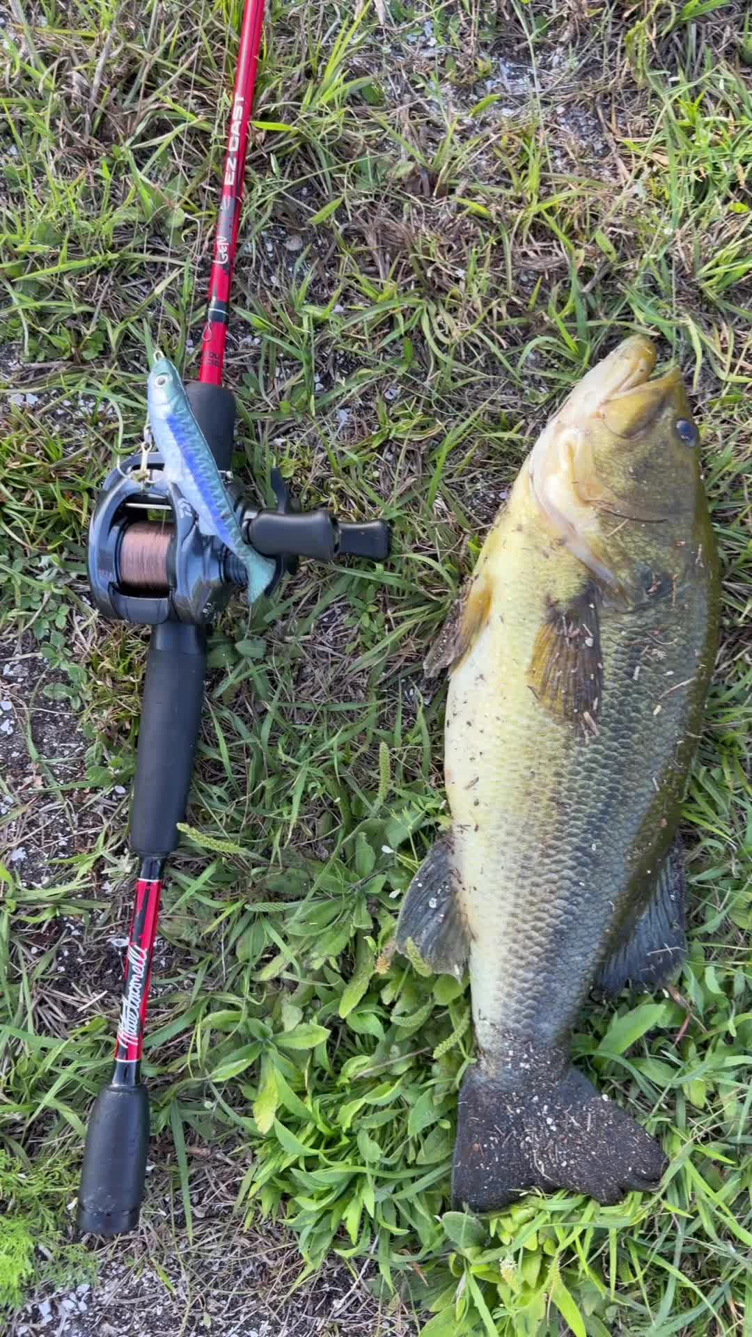 @Inshoreslabs