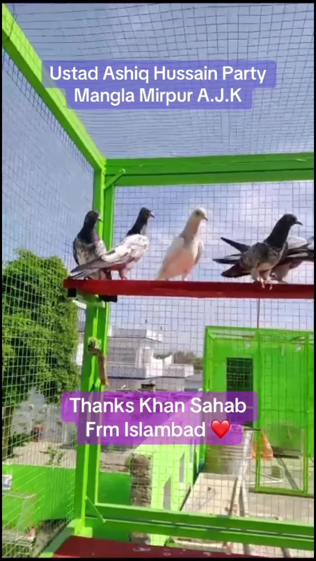 @چھت شہزاد عرف سنی UK