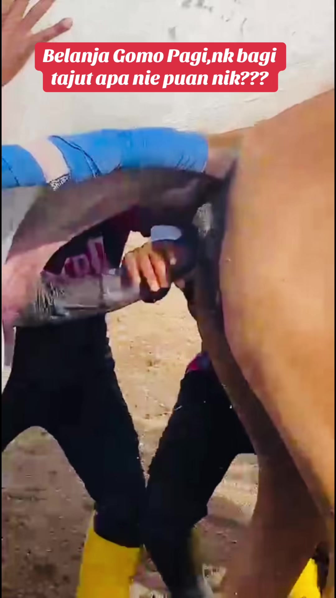 @Subdepo Arabian Park