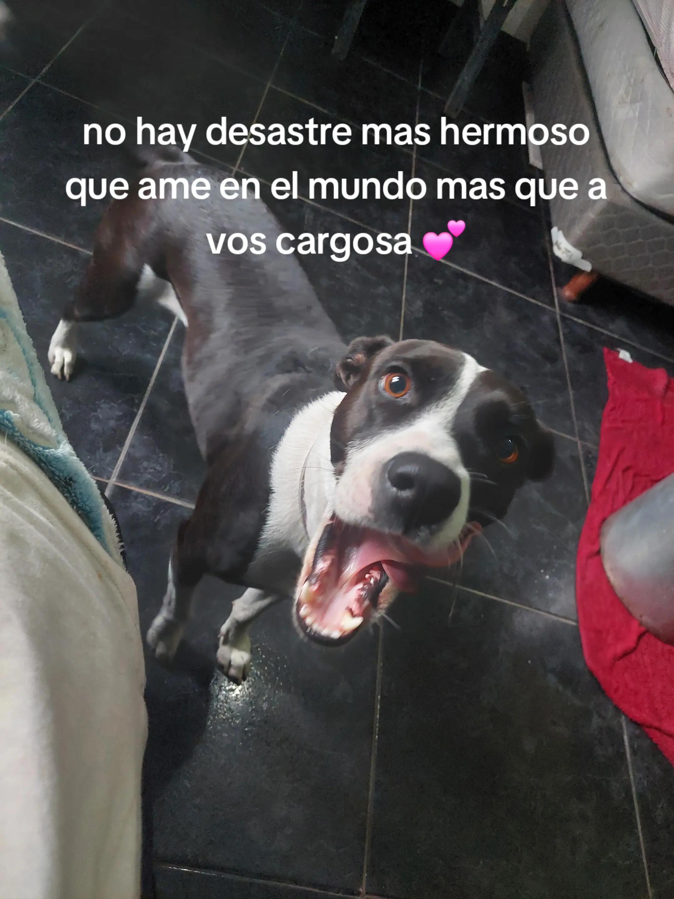 @cami🎀