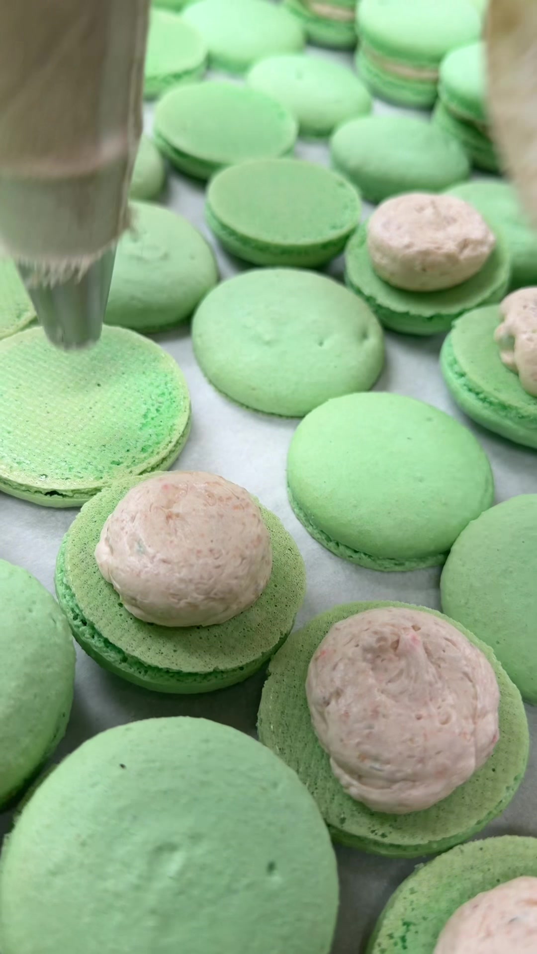@scratchbakers