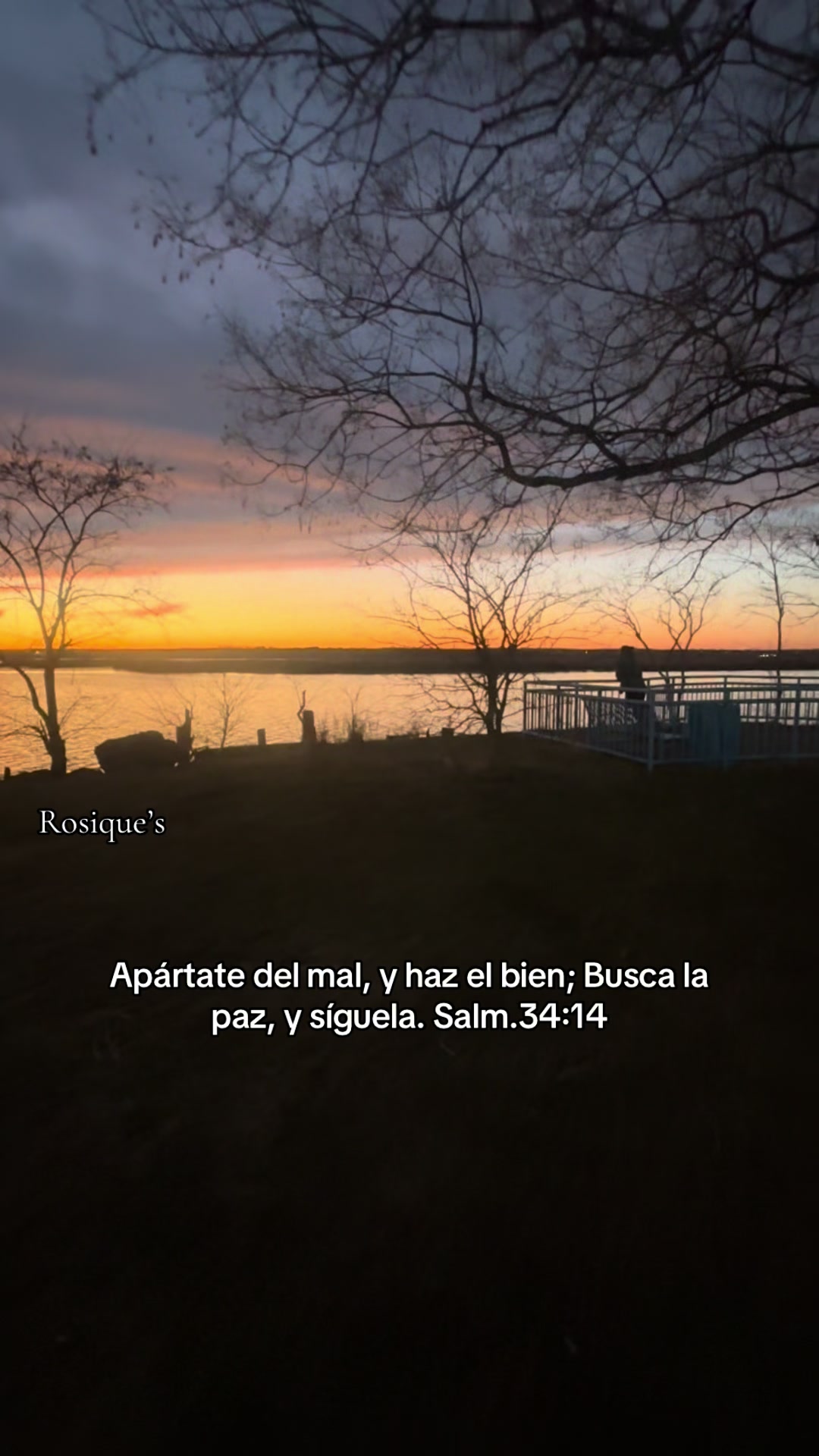 @Rosique NY