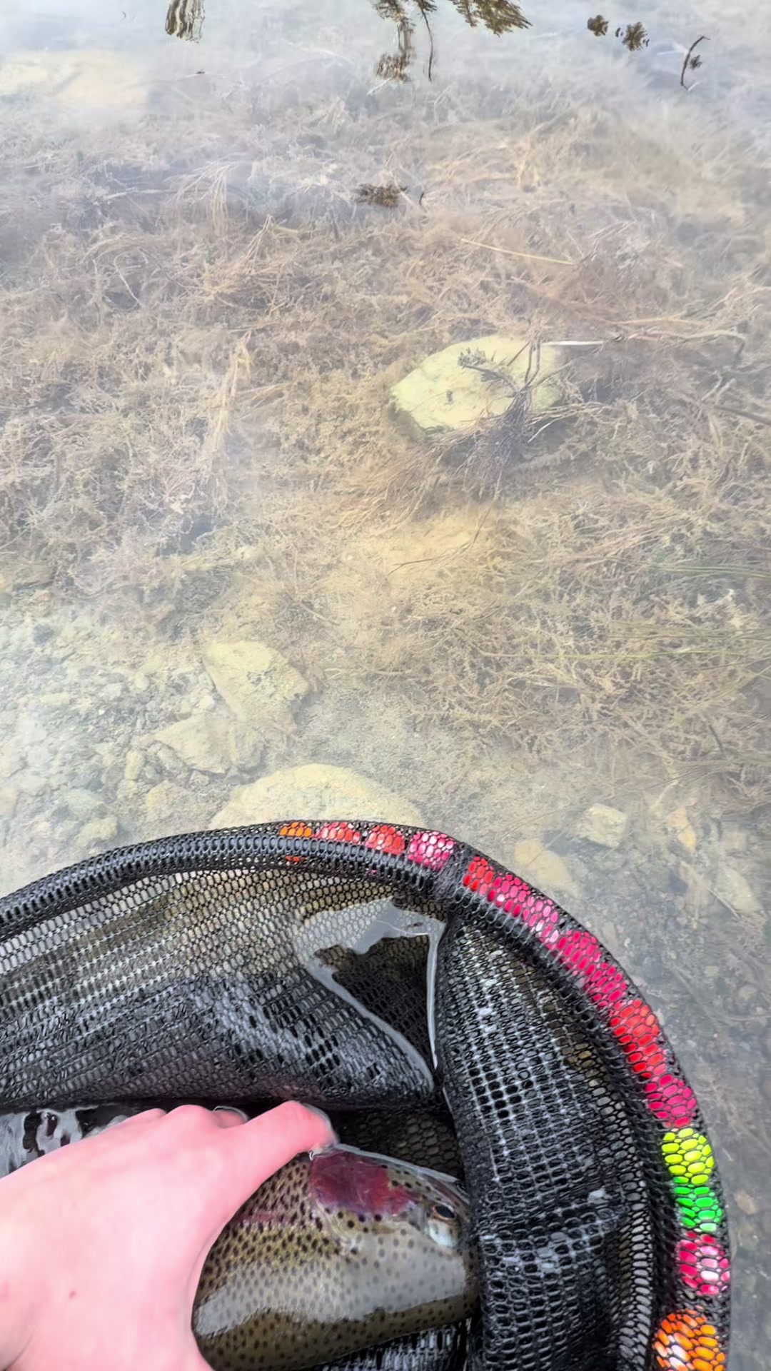 @Jared fishing BC