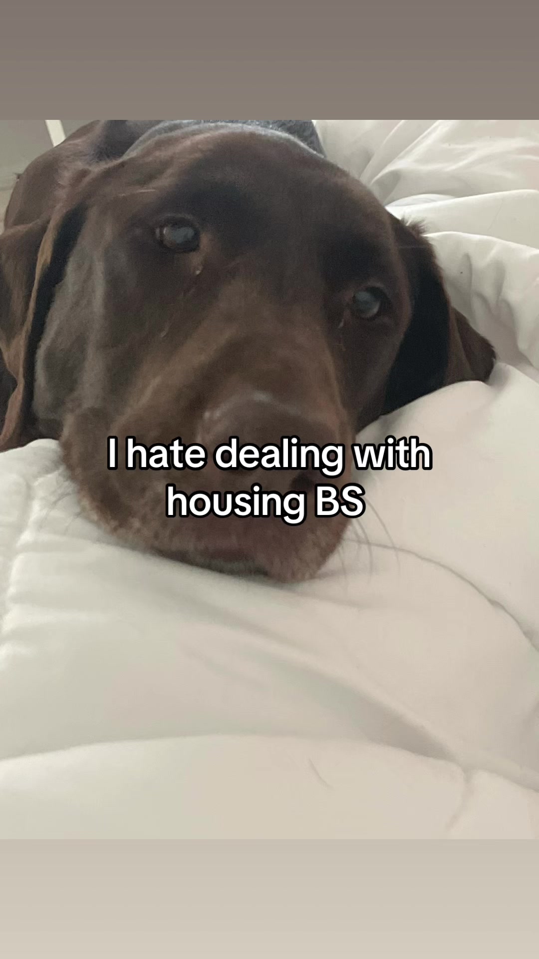 @Oakley-Nifty-Lucifer