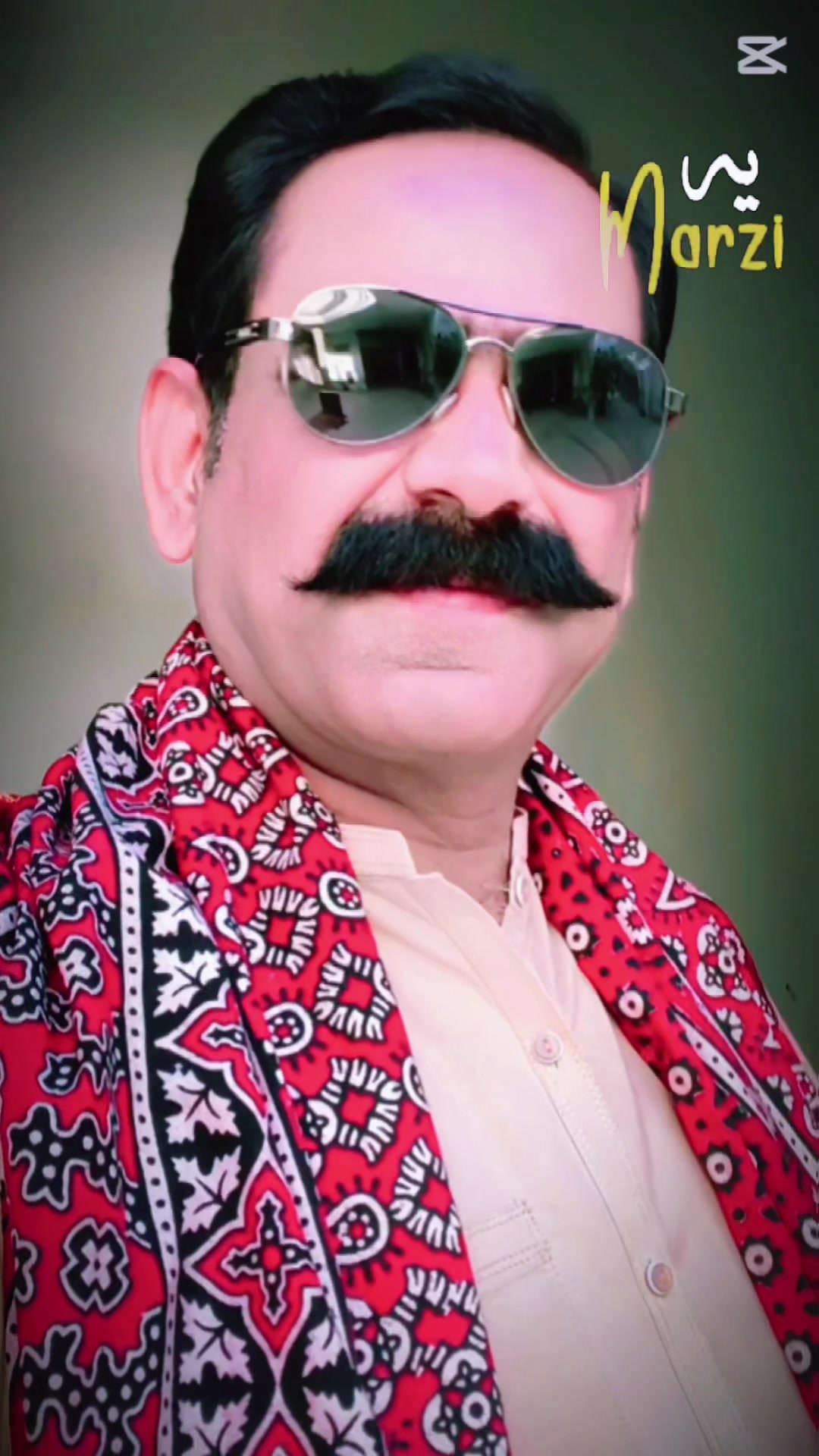 @Roy Aamir