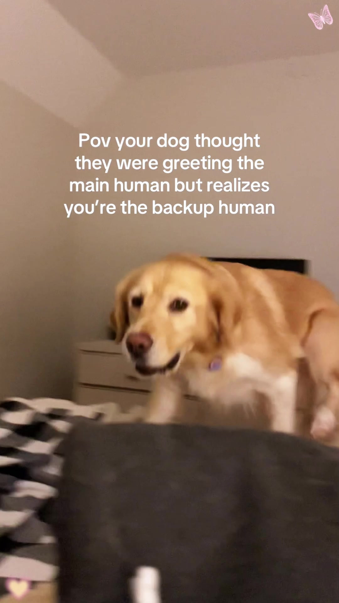 @cuteandfunny8888