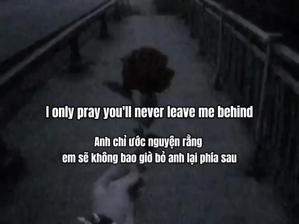 @Ly Mei