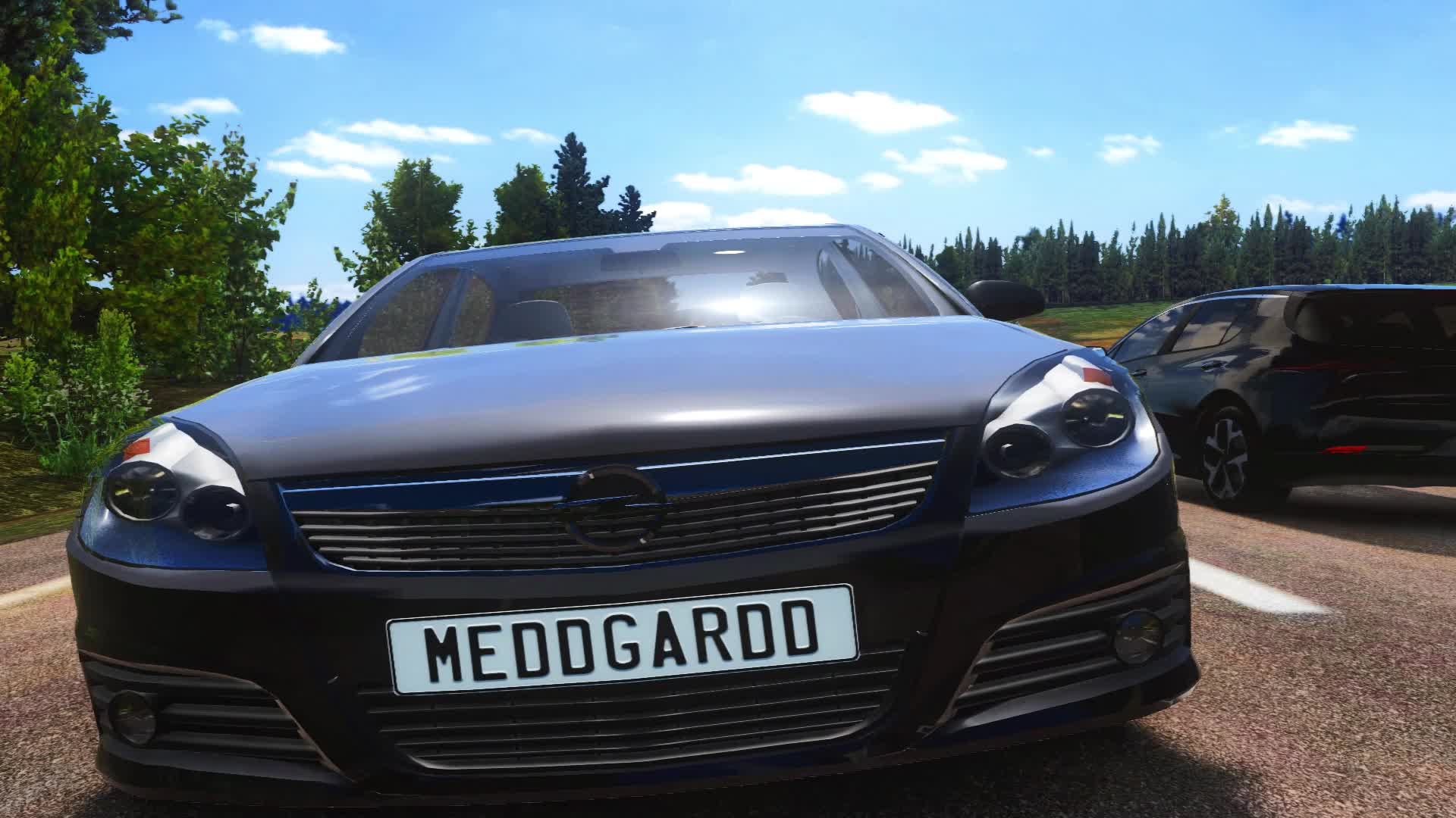 @meddgardd
