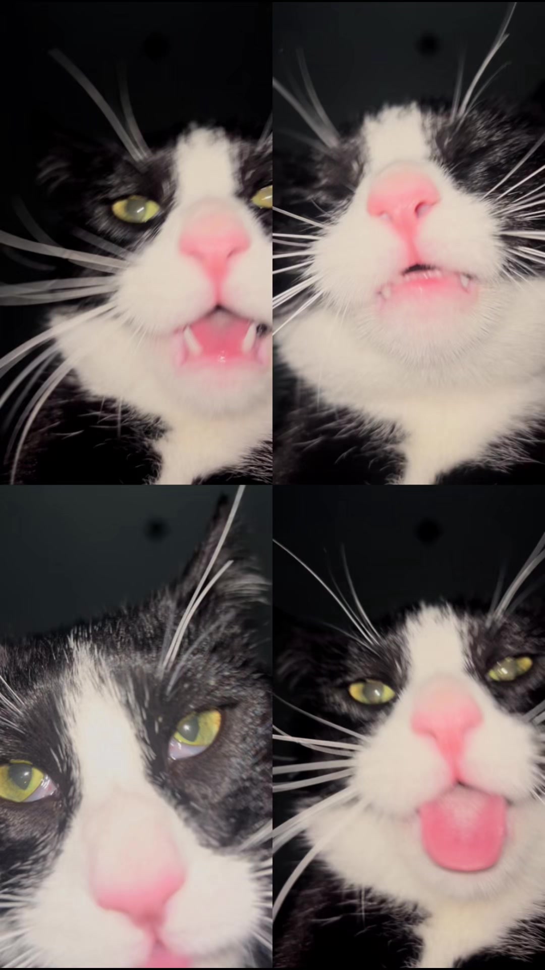 @𝐻𝒶𝓃𝓃𝒶𝒽