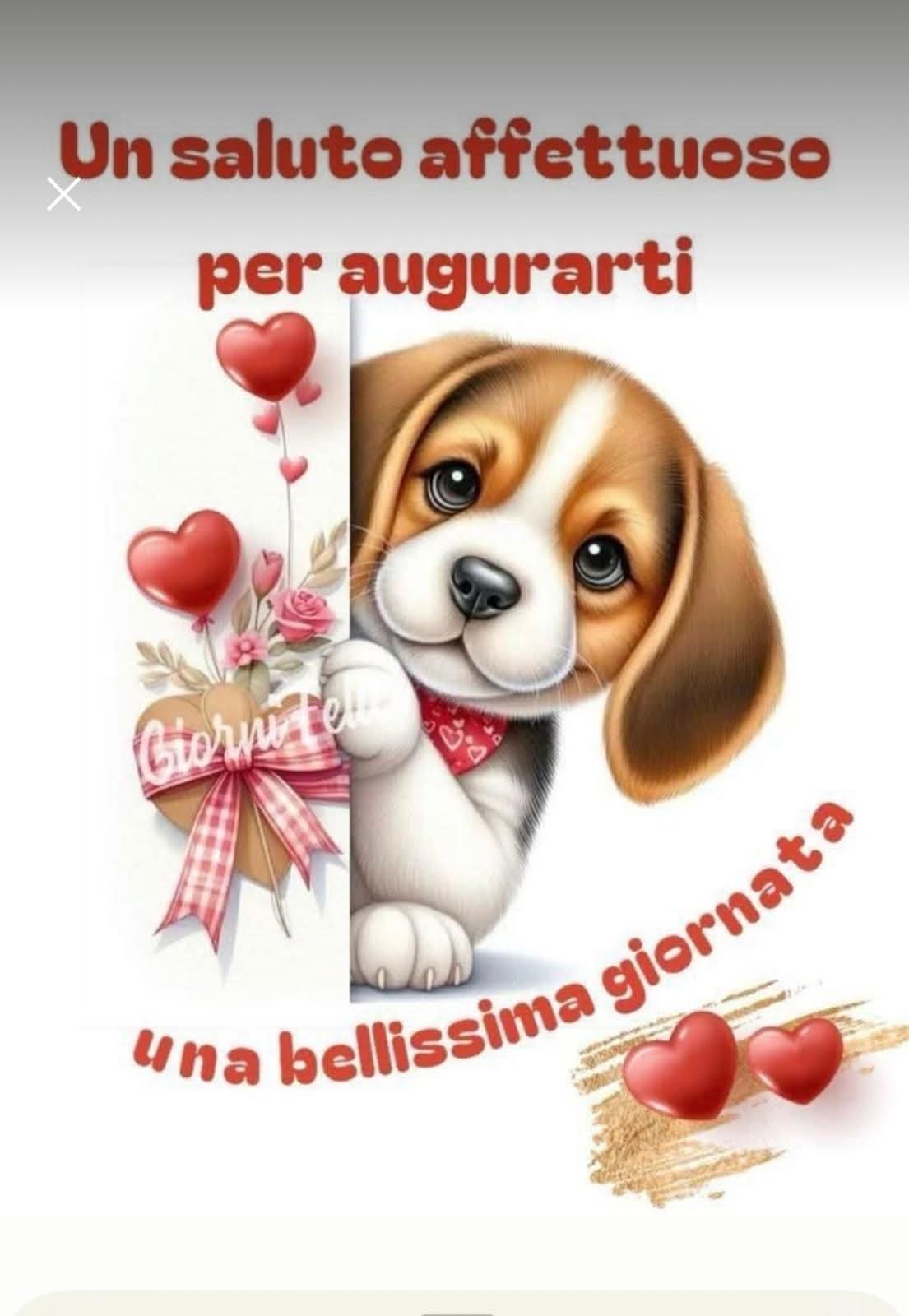@giuseppedigenna11