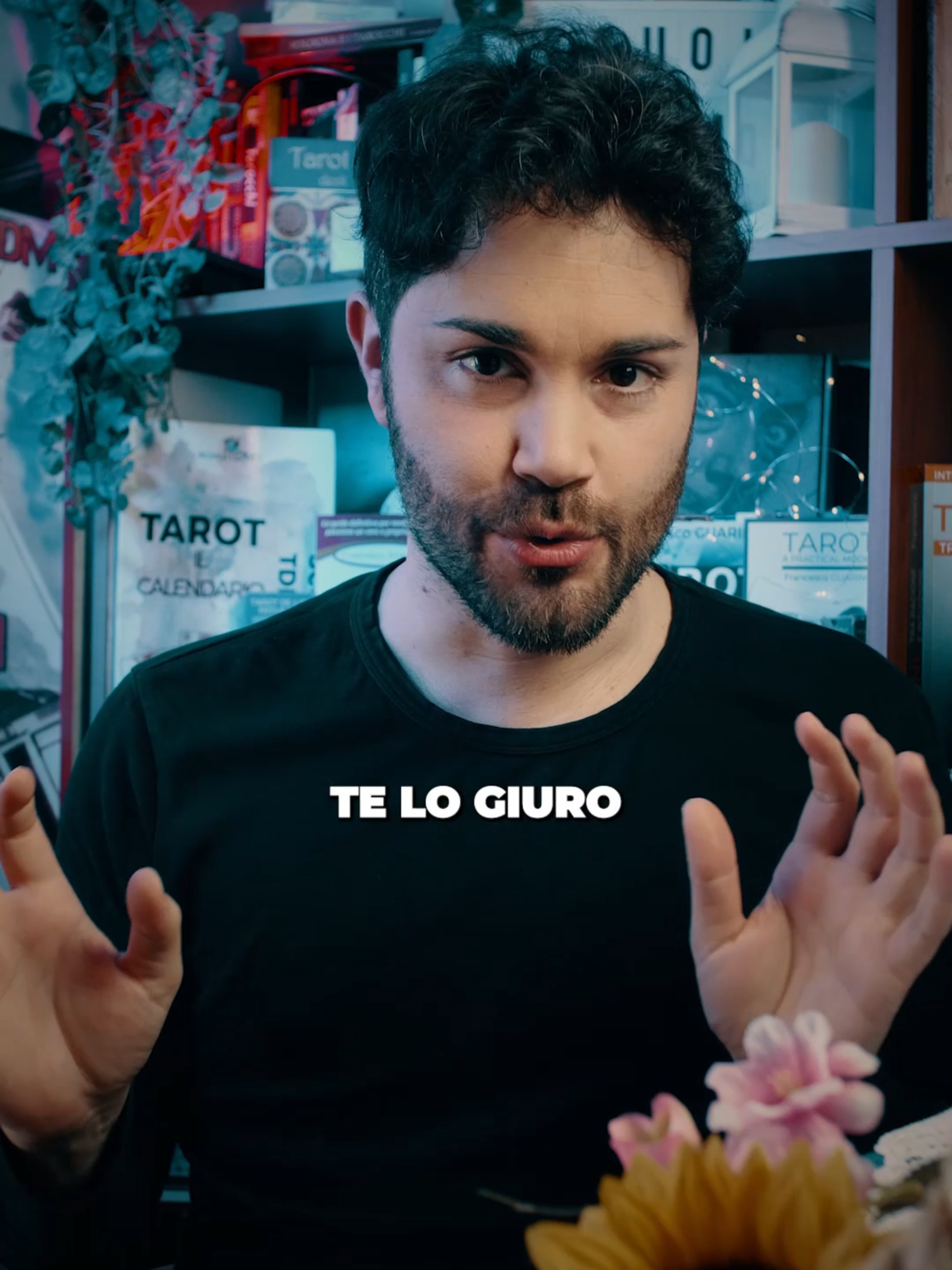 @franceguarino