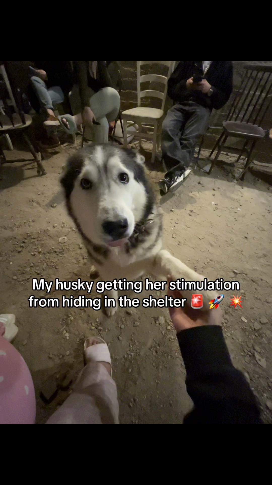 @Nala & Bella 💜