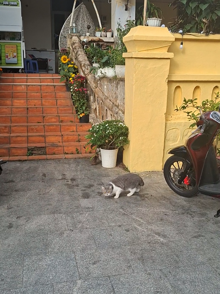 @D&ograve;ng s&ocirc;ng hiền h&ograve;a