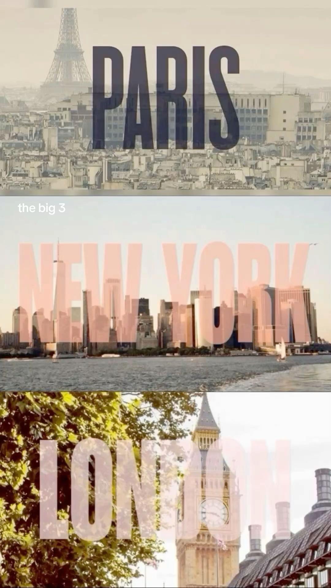 @🪸